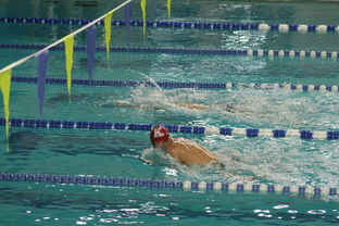 九游体育平台官网-自由泳预赛突尼斯多人晋级，自由泳2021  第1张