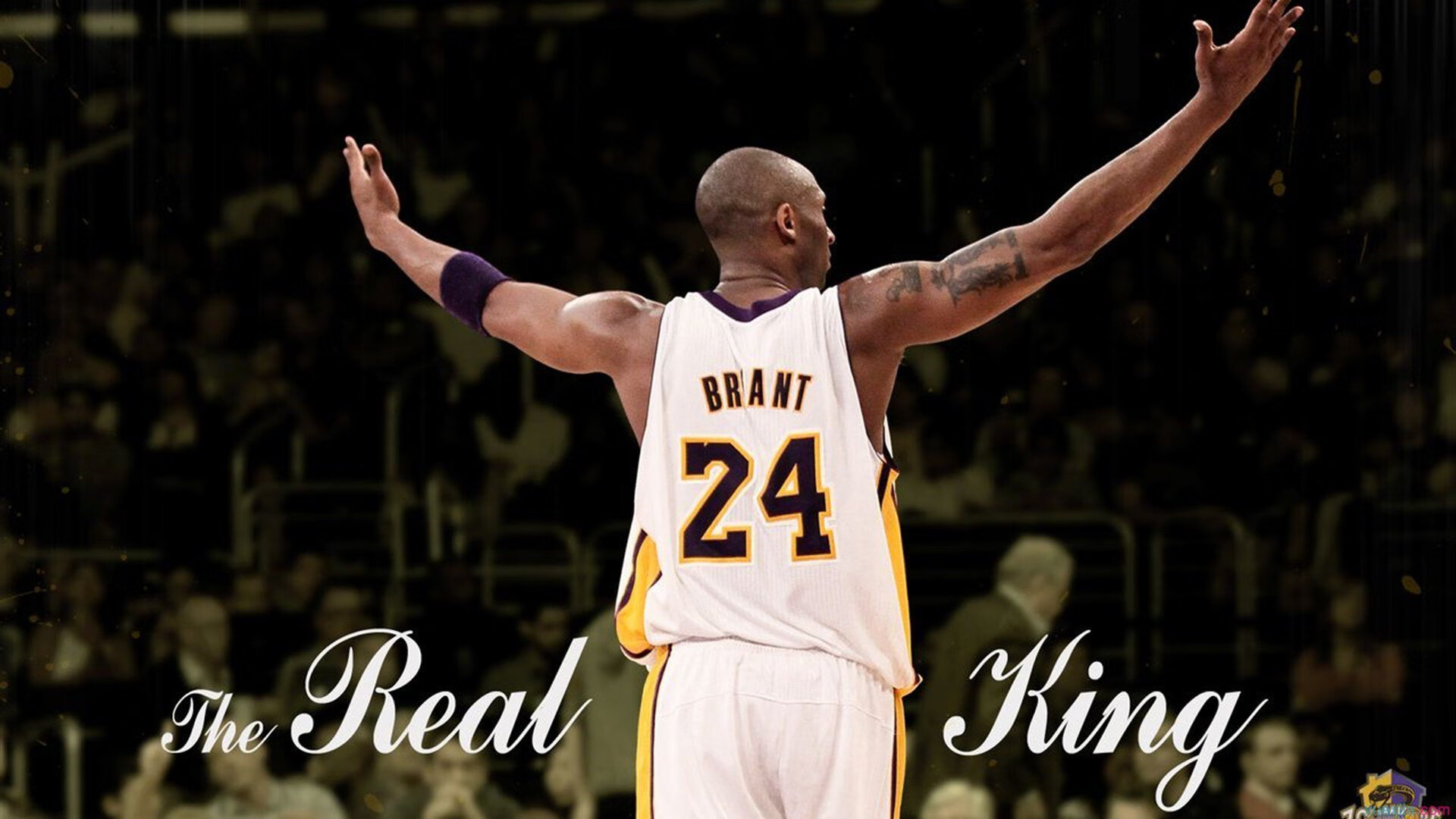 JIUYOU GAMING-_体育+艺术展演：视觉与运动的奇幻融合_，视觉运动整合